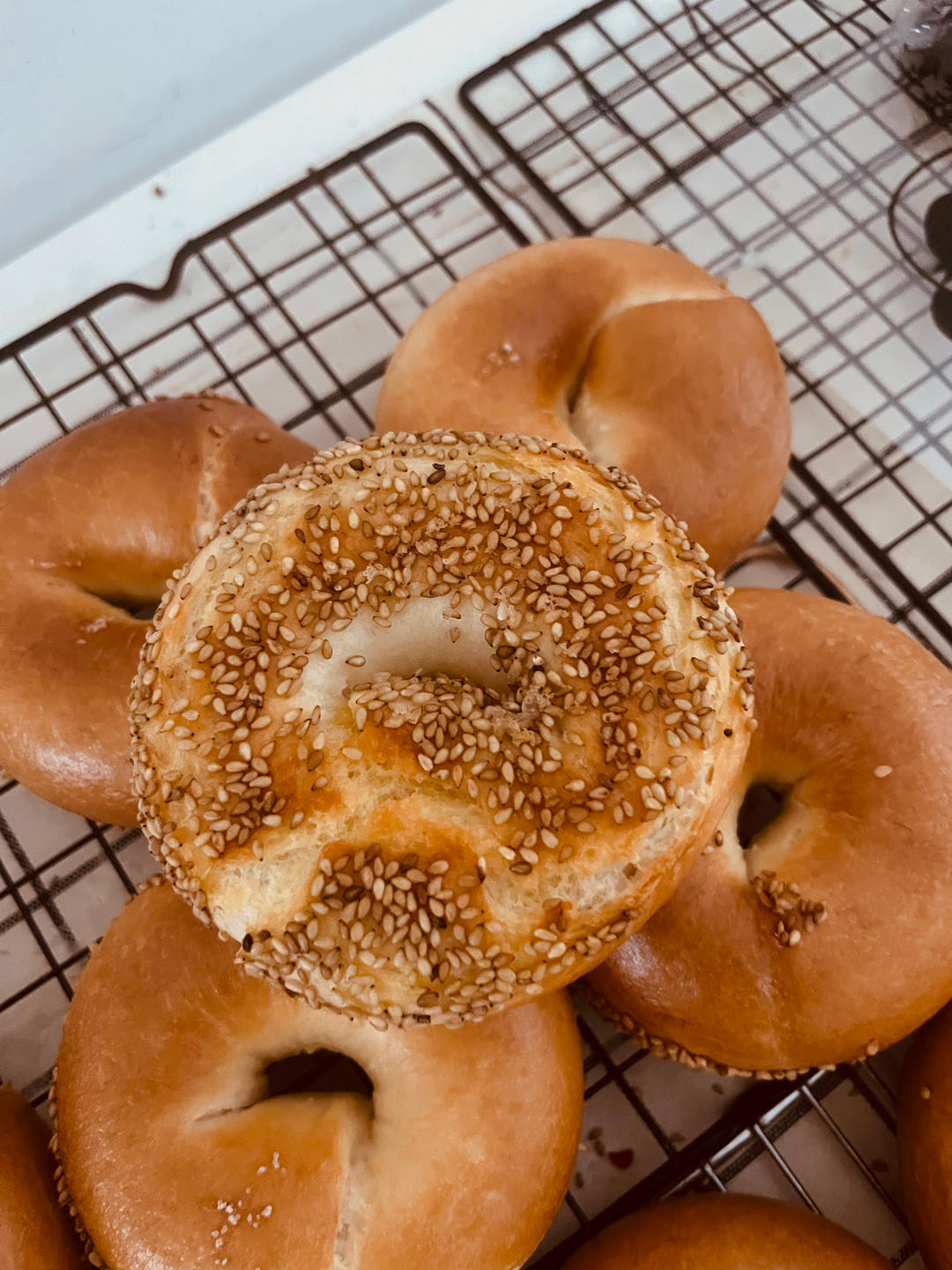奶盐芝麻脆底贝果🥯咸香酥脆🧈奶味浓郁