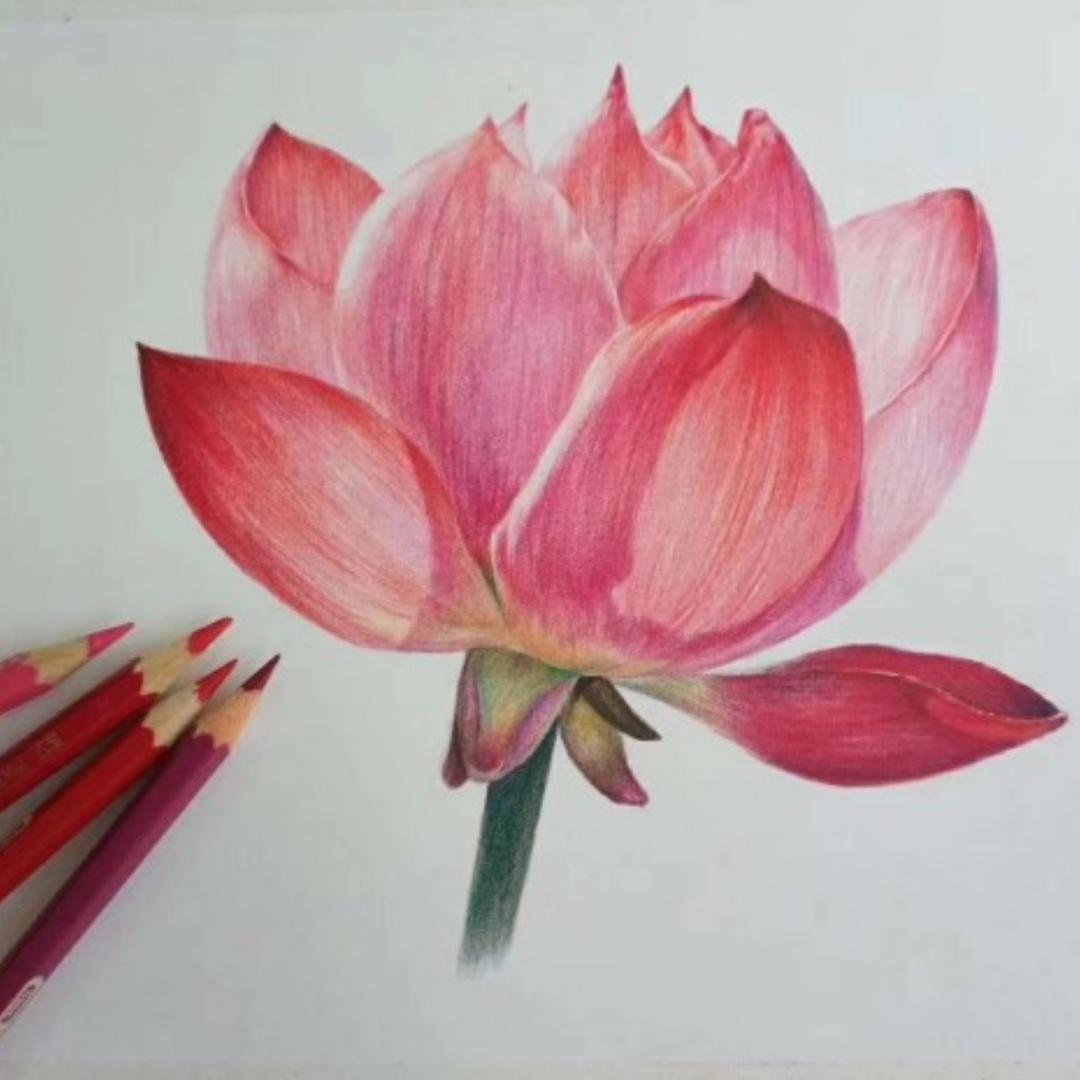 下雨天的莉莉酱