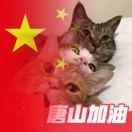 不知道吃啥就上来看