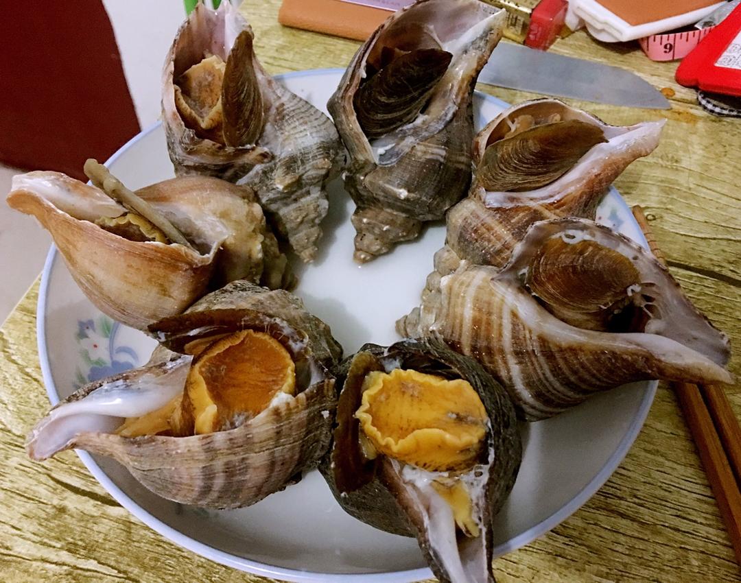麋鹿coco做的水煮海螺