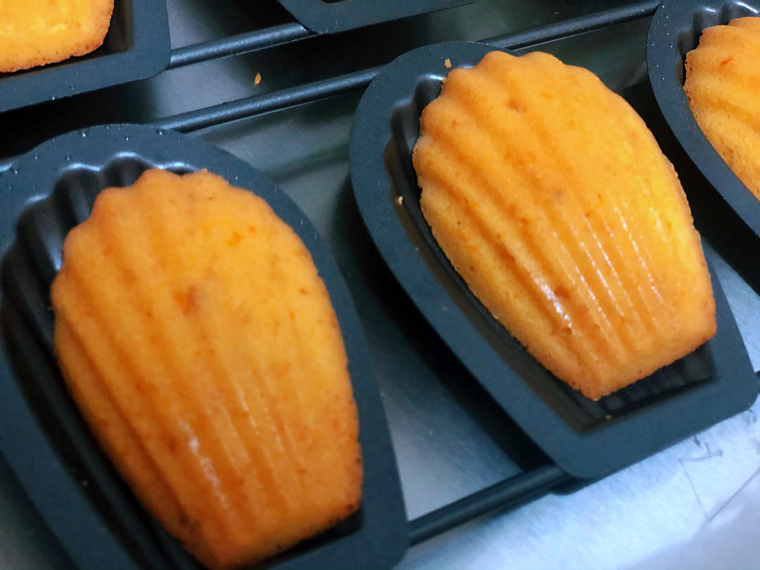 橙子芝士旅行蛋糕的全部作品