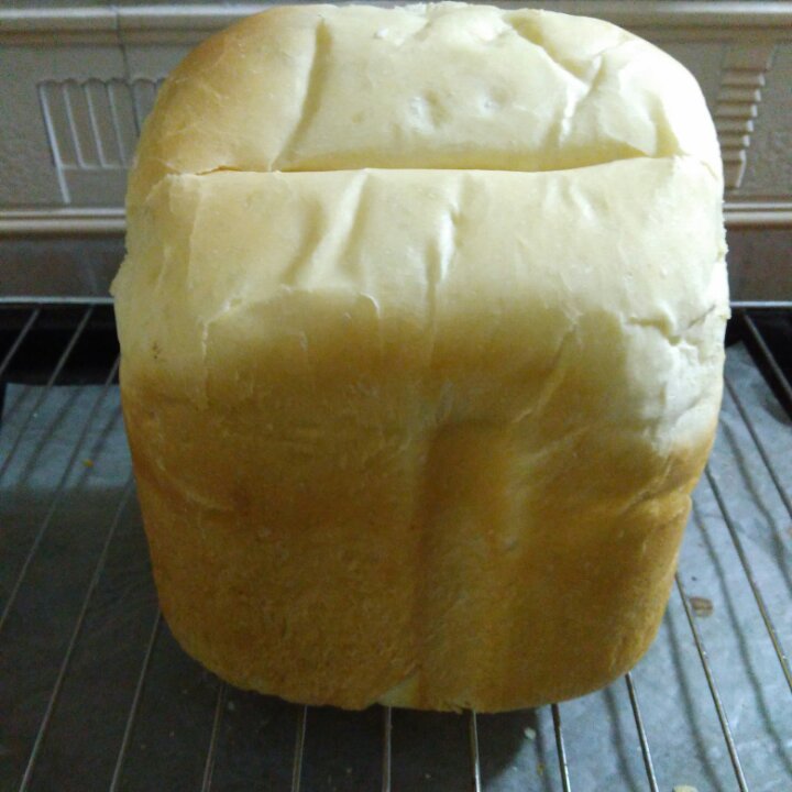 提子土司（柏翠面包机PE6280）自用方子