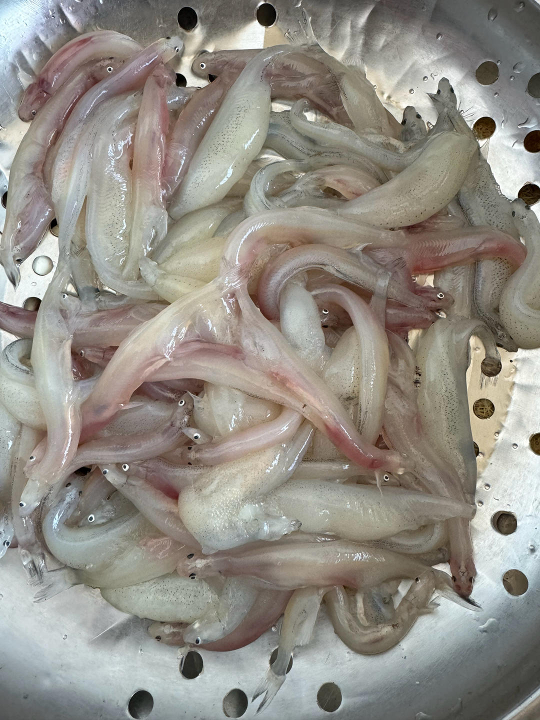 面鱼（面条鱼）鸡蛋