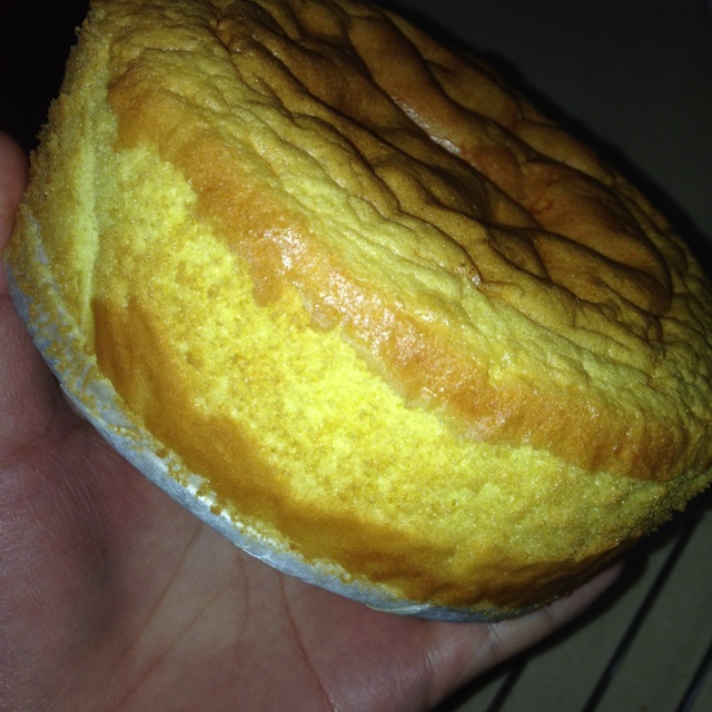 【小山进】海绵蛋糕