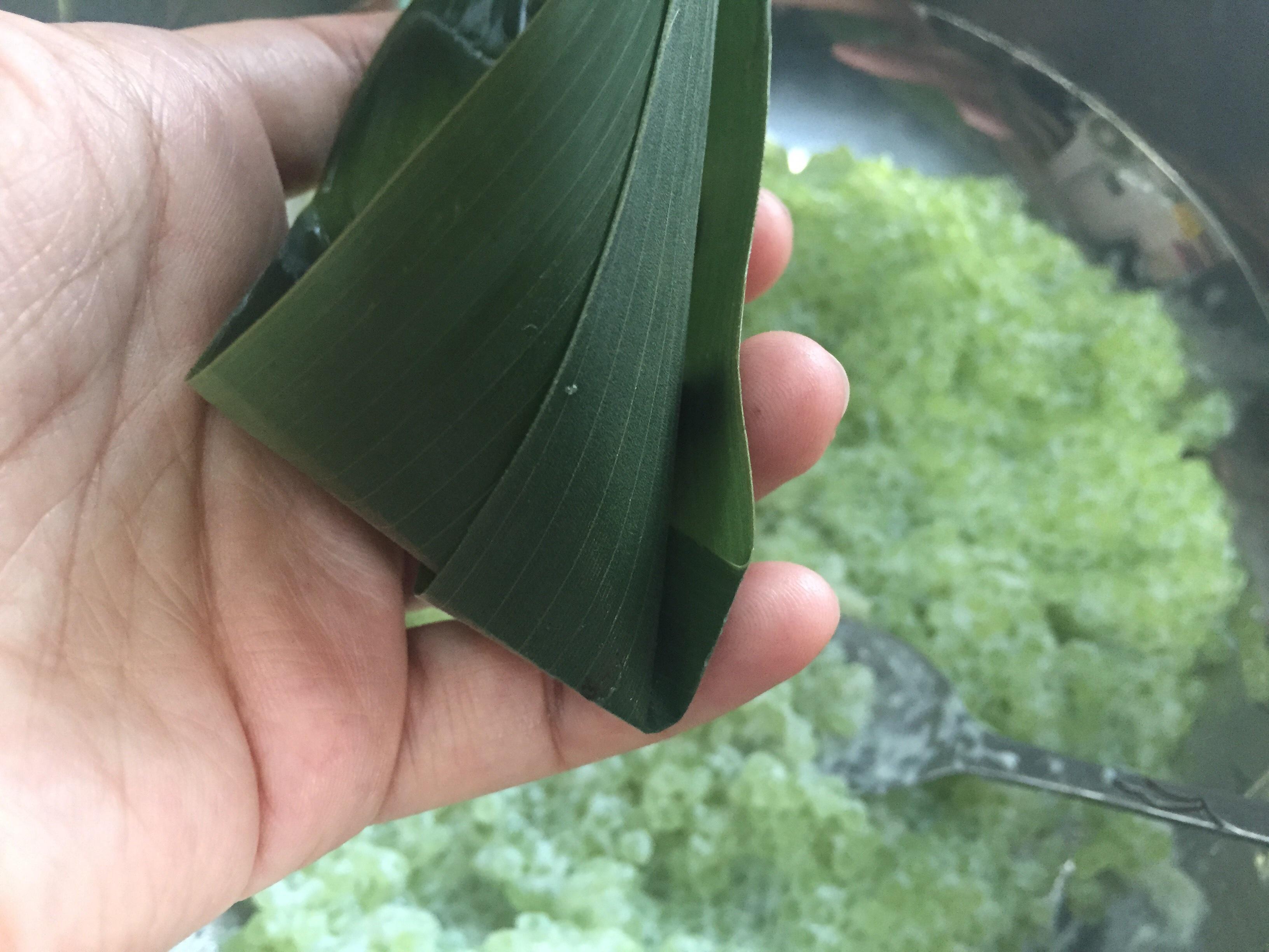 椰香芒果西米粽的做法 步骤5