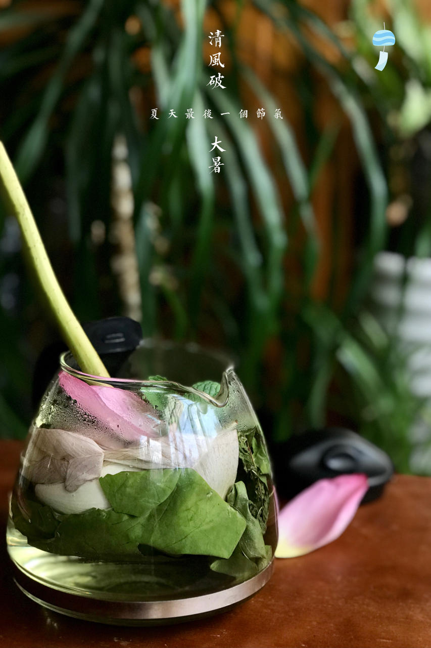 泡一杯有仙气的荷花水