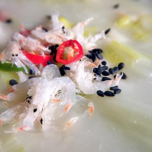 虾皮白菜面疙瘩汤的做法 步骤8
