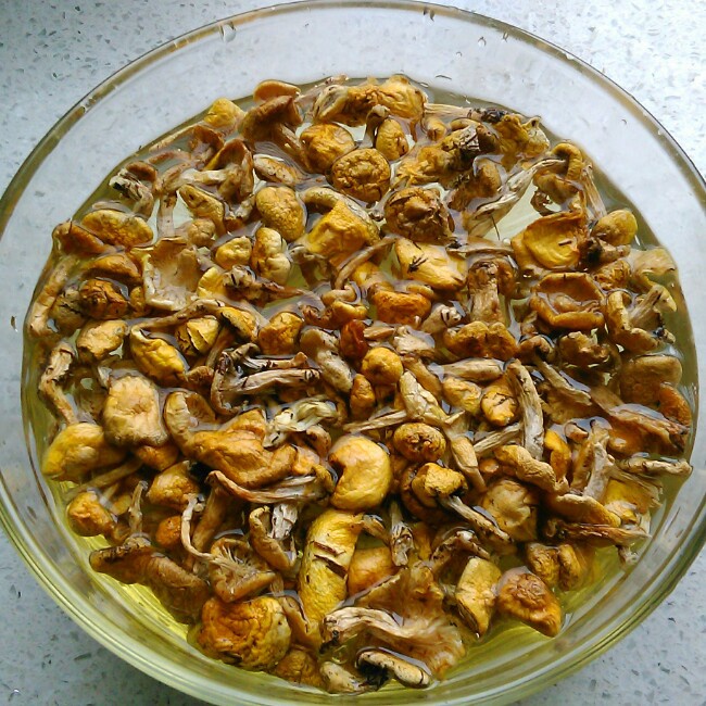 小鸡炖蘑菇特产店