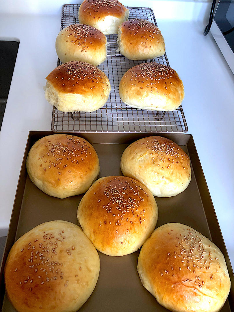 汉堡胚 poolish（波兰种）