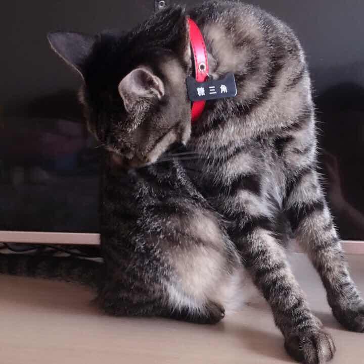 姚小甜甜甜