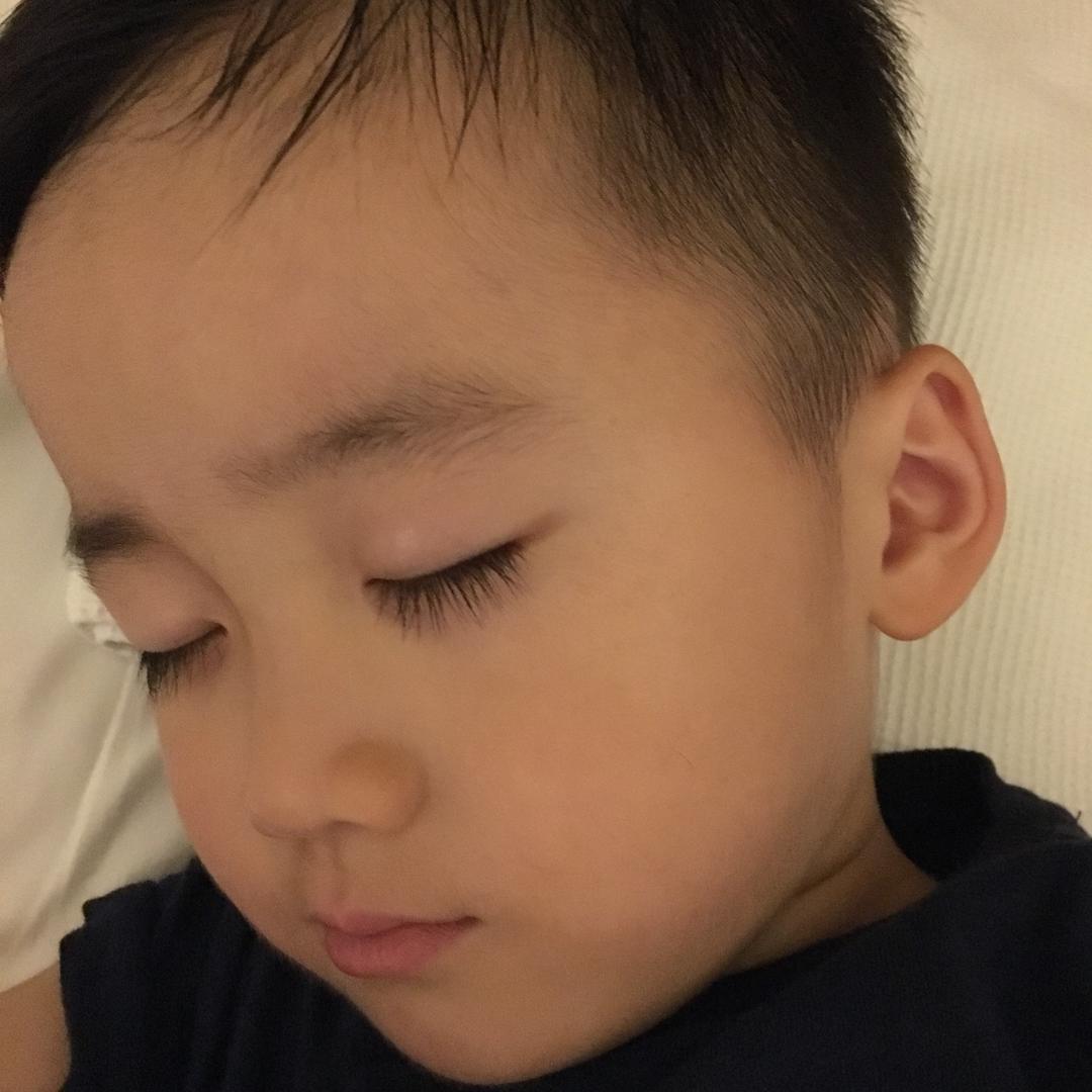 猫猫-猫弟的麻麻