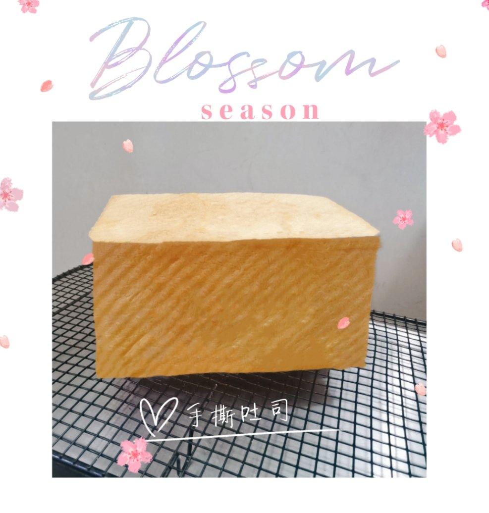 超松软的吐司🍞