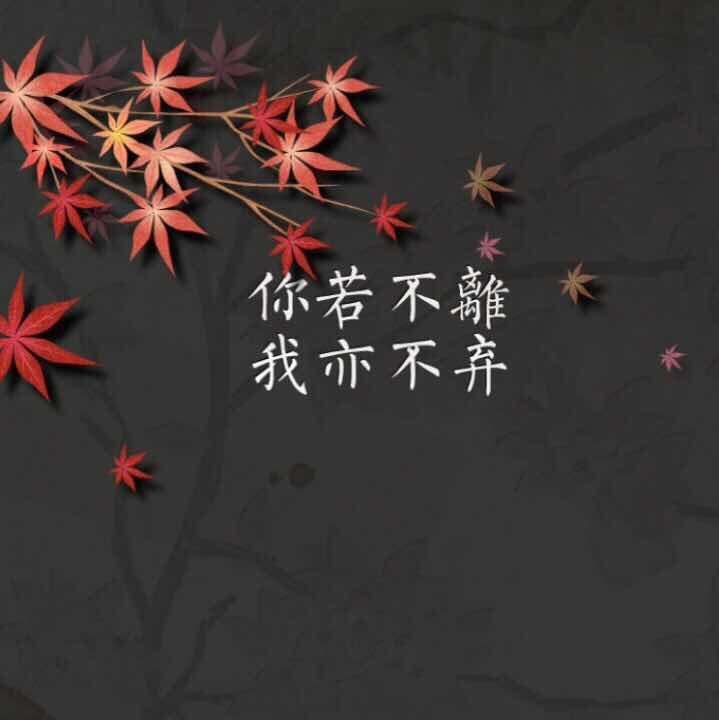 咫尺天涯明月别情