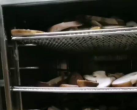 宝宝天然香精—香菇粉