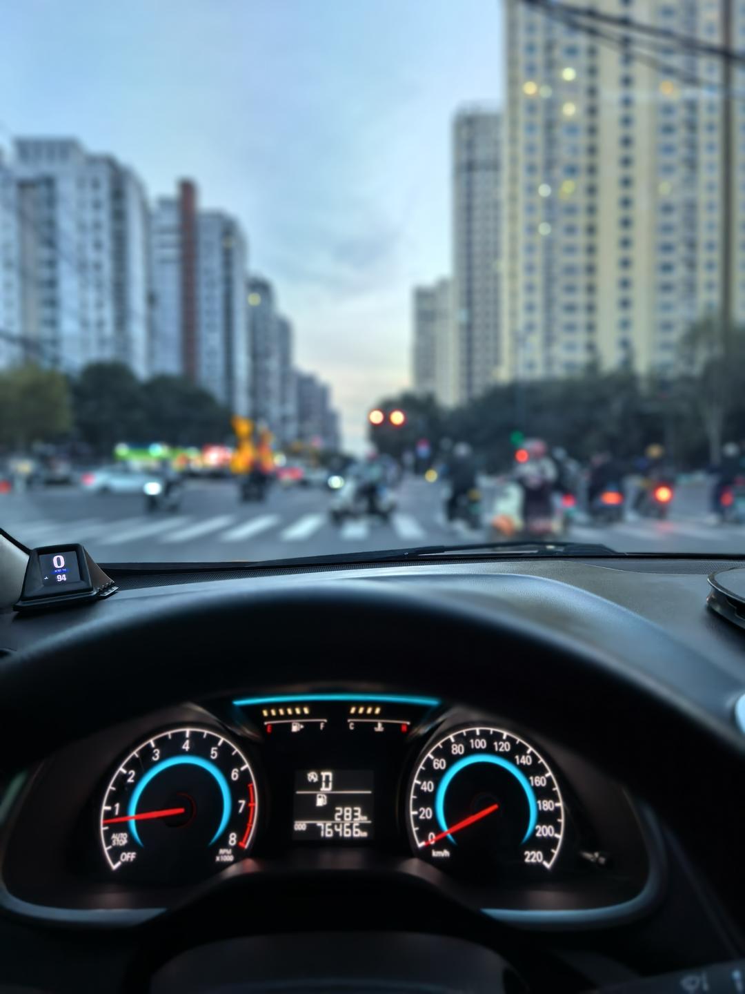 北海有魚(yú)飛