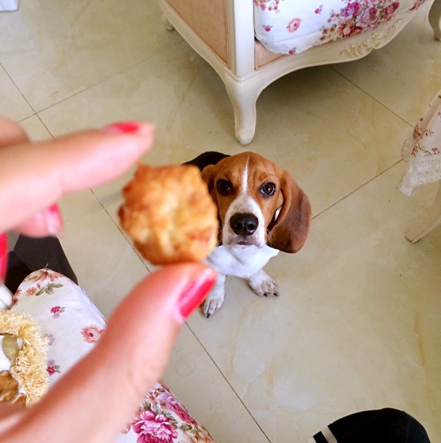 狗狗磨牙零食之三文鱼饼干