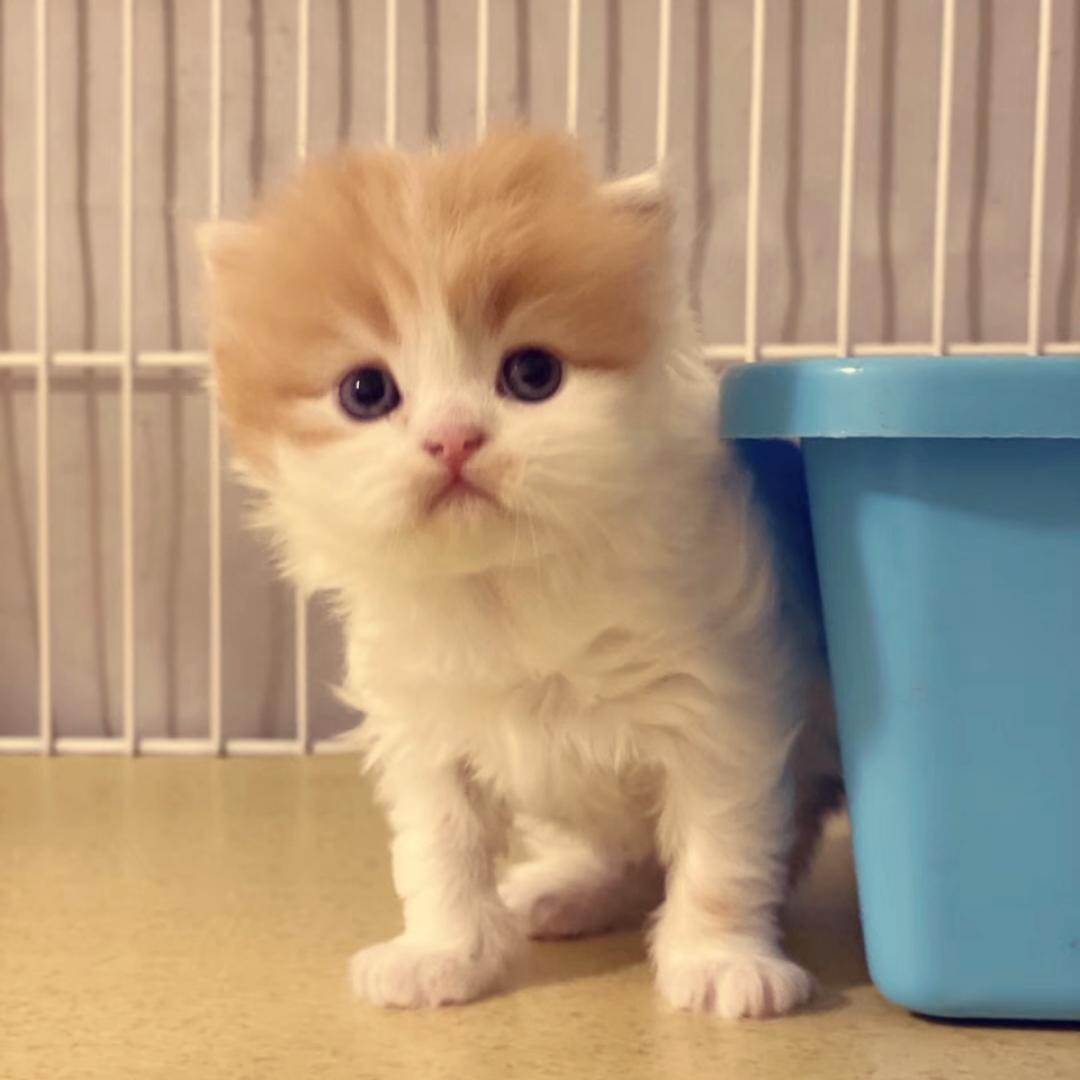 TU小姐