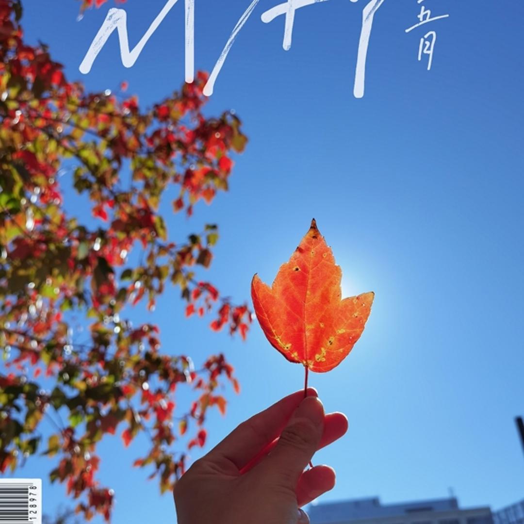姚小咦