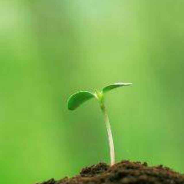 谁的人生不迷茫