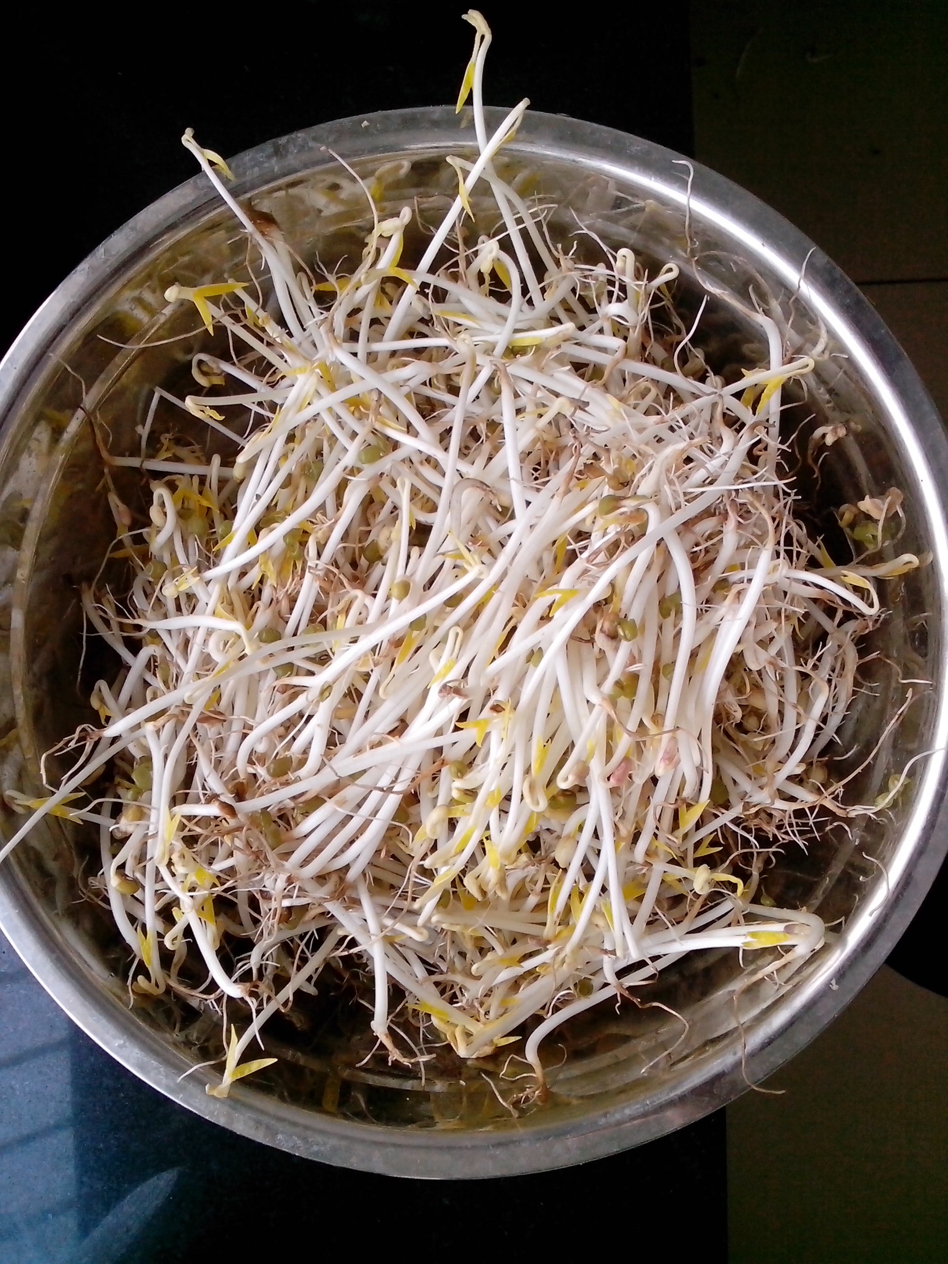 发绿豆芽