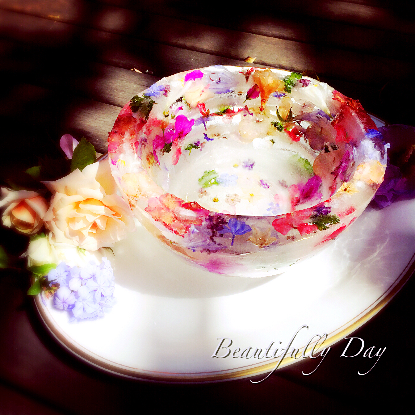 鲜花冰碗 Ice Bowl