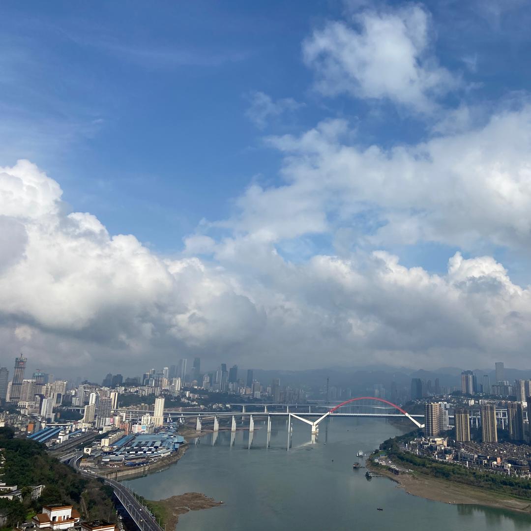 小盆小盆可爱爆棚