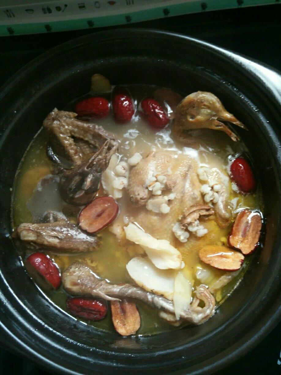 红枣枸杞乳鸽汤