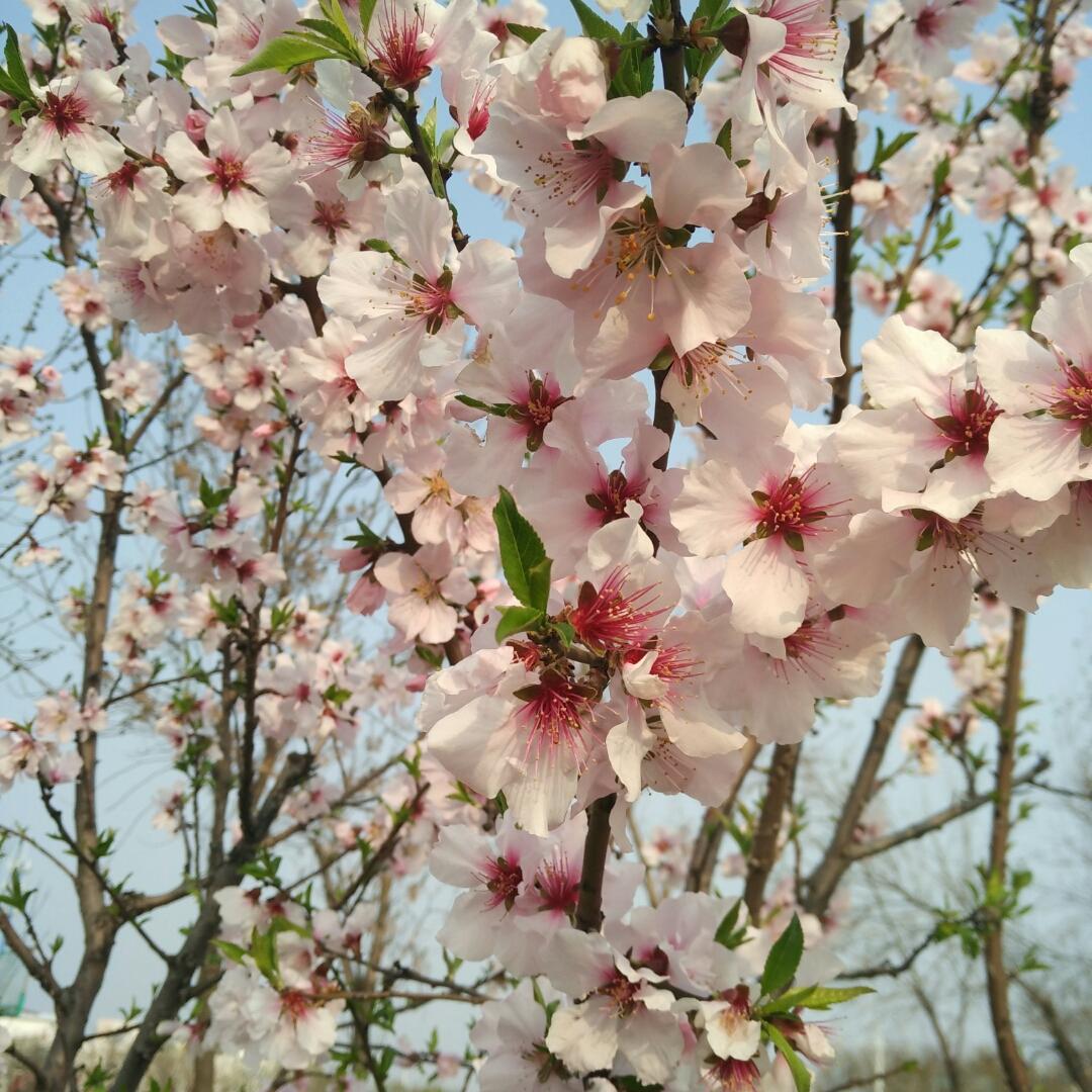 雨♀后