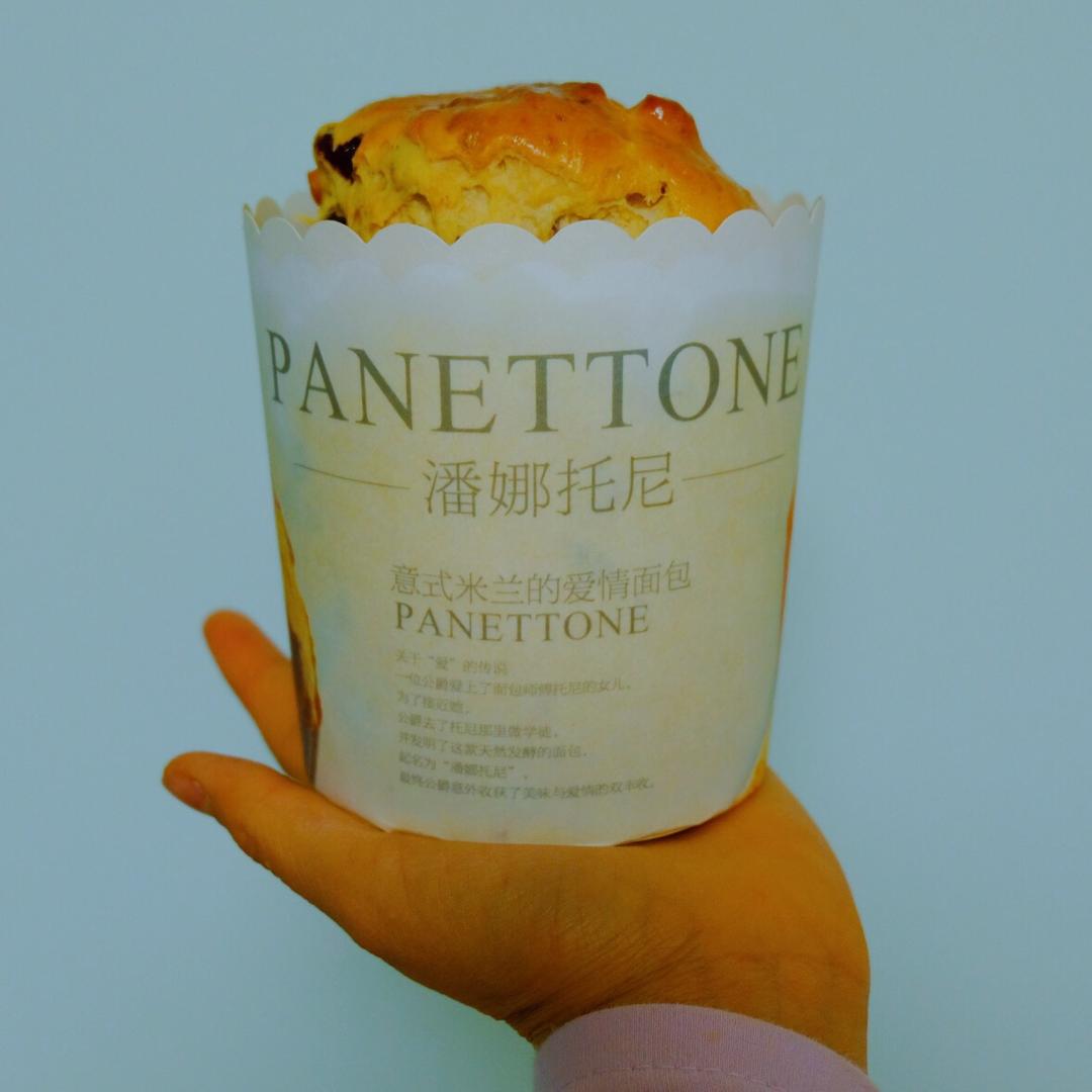 圣诞面包--潘娜托尼Panettone