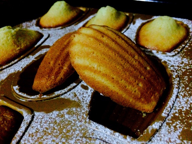 树袋熊m做的柠檬玛德琳蛋糕