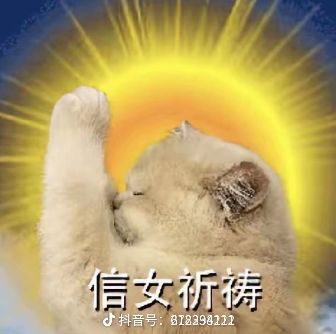 喜欢吃但懒得做饭的甜甜圈