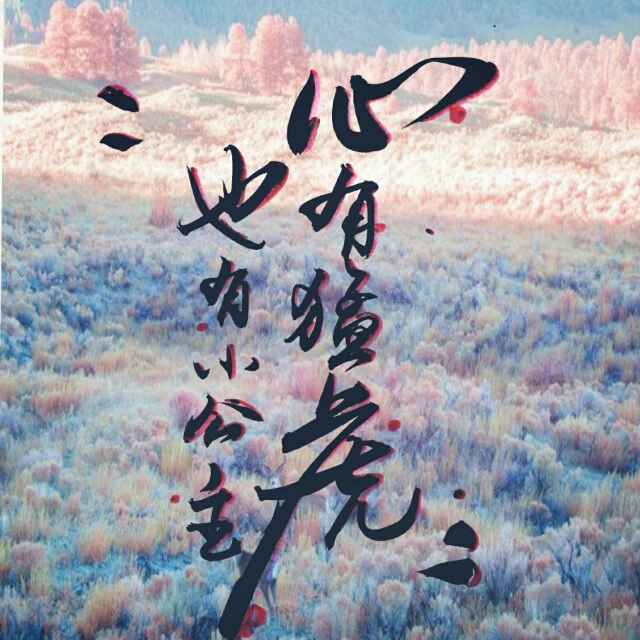 纳婕