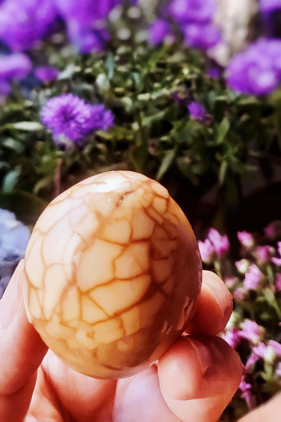 半糖也甜做的蛋黄绵到发疯的茶叶蛋