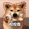 QQ空间用户_aque