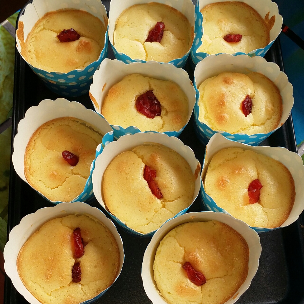 乳酪戚风小蛋糕