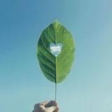 Cecilia_GHH