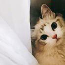 手机用户6557_qobr