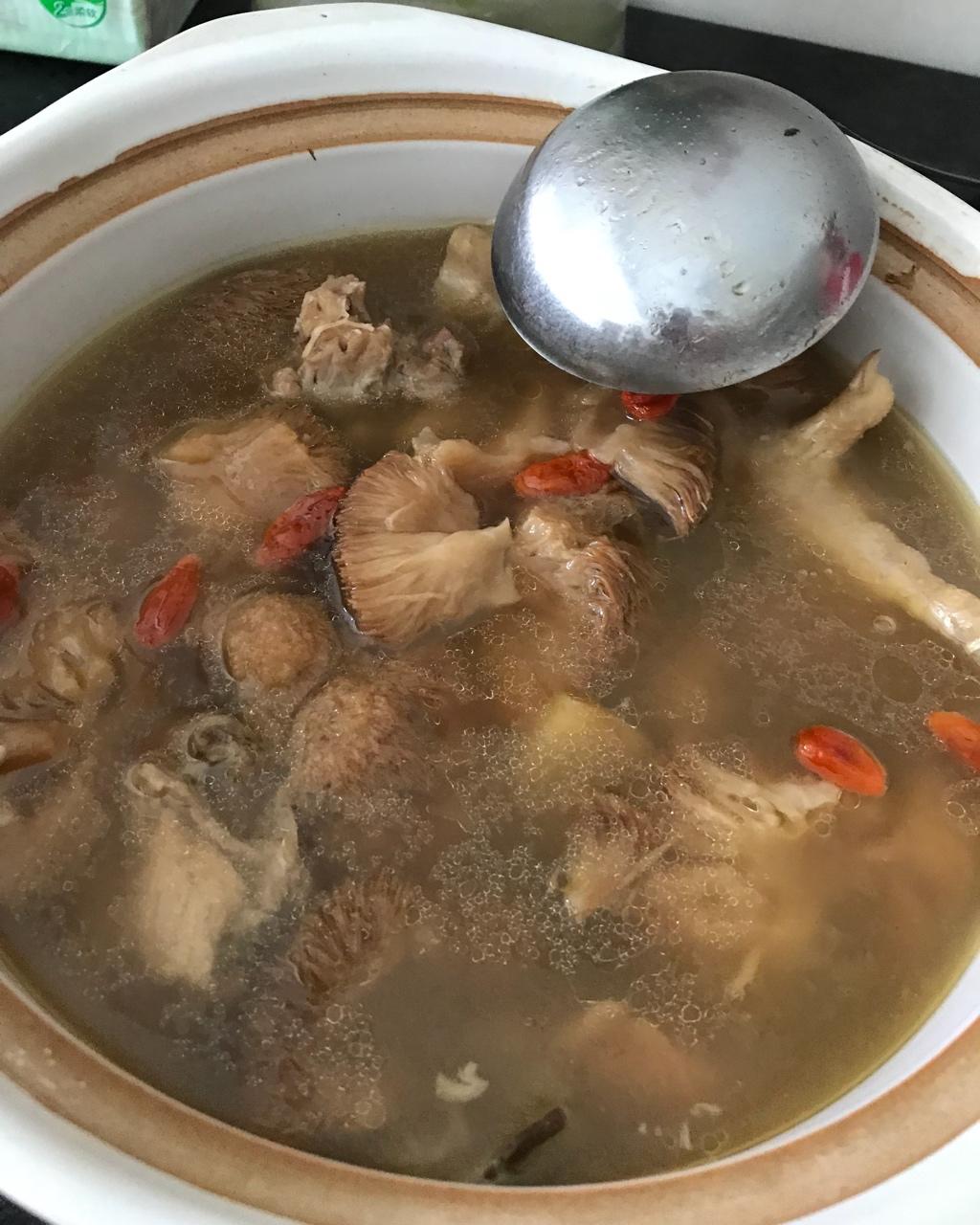 敲好喝的养胃猴头菇鸡汤（内附正确猴头菇操作方法）