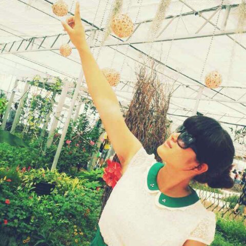 手机用户4586_nso2