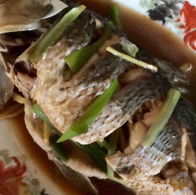 超入味清蒸鱼～清蒸鲈鱼桂花鱼（家常独创）