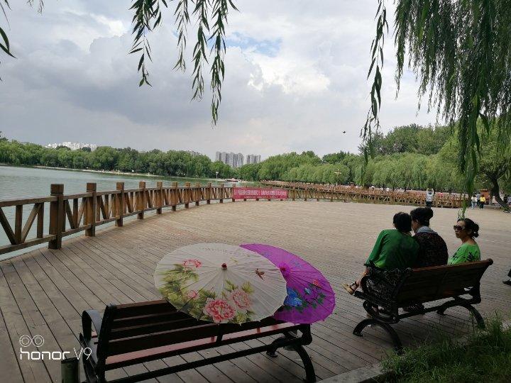 阳春面