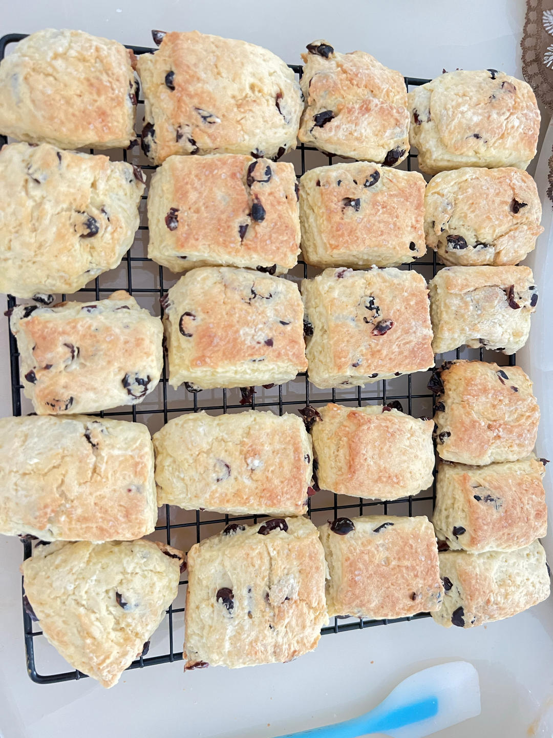 完美裂纹～百分百成功的超好吃奶香司康（禁止搬运）