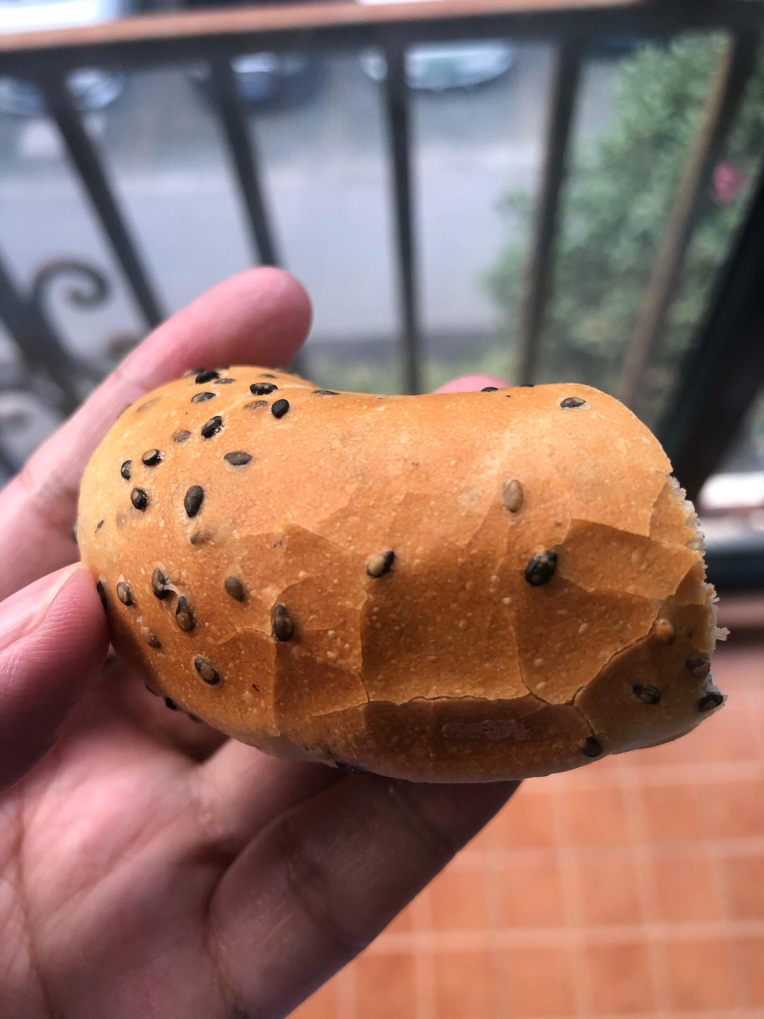 🥯一小时就完成的超快手贝果