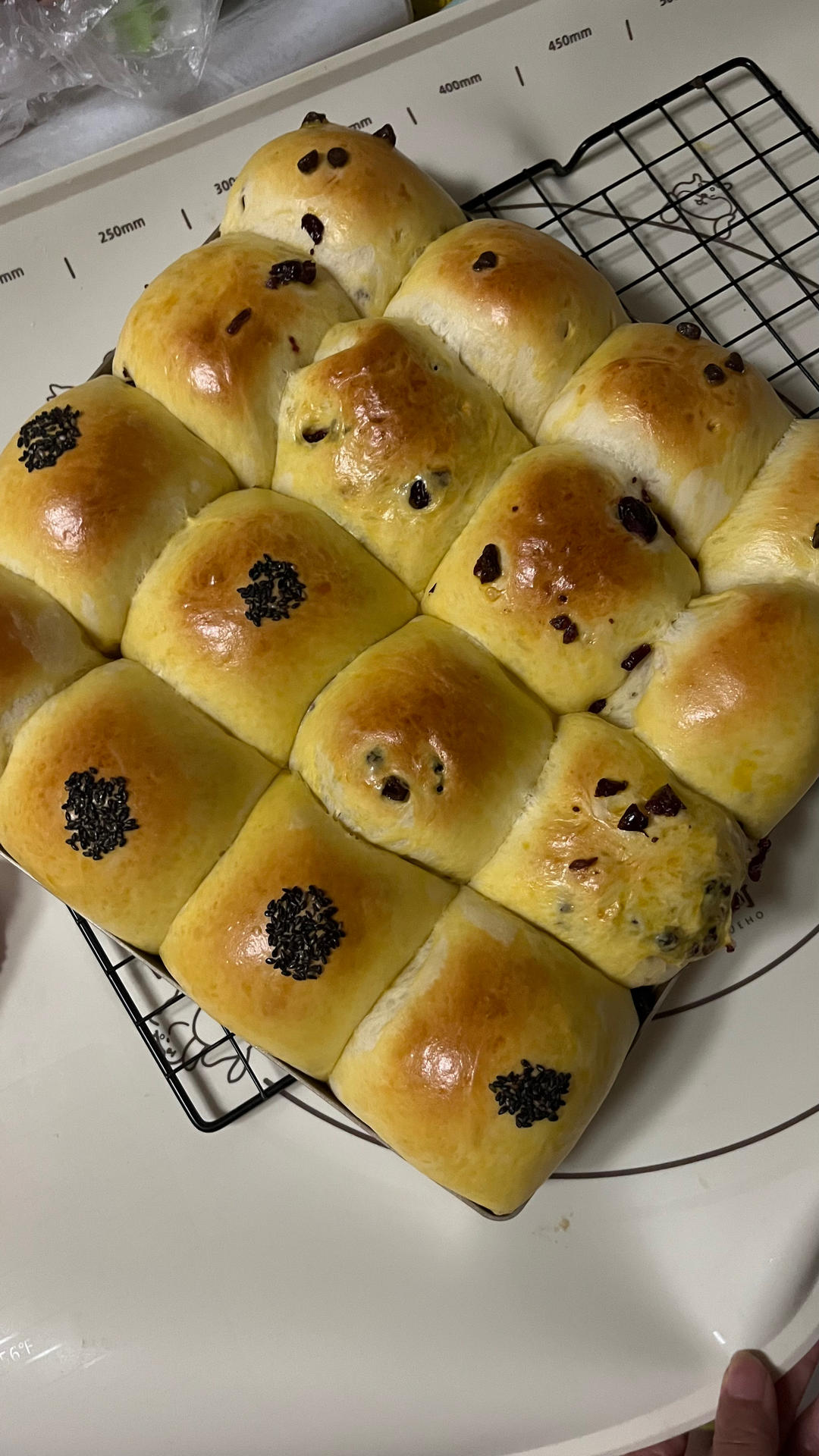 放3天也一样柔软的豆沙小餐包，好吃到哭