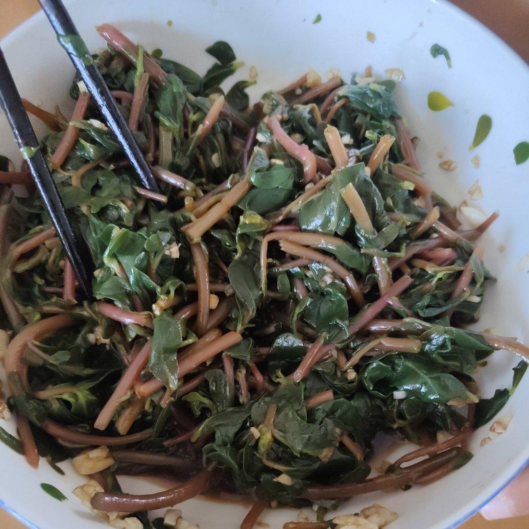 凉拌马马菜（凉拌马齿苋）