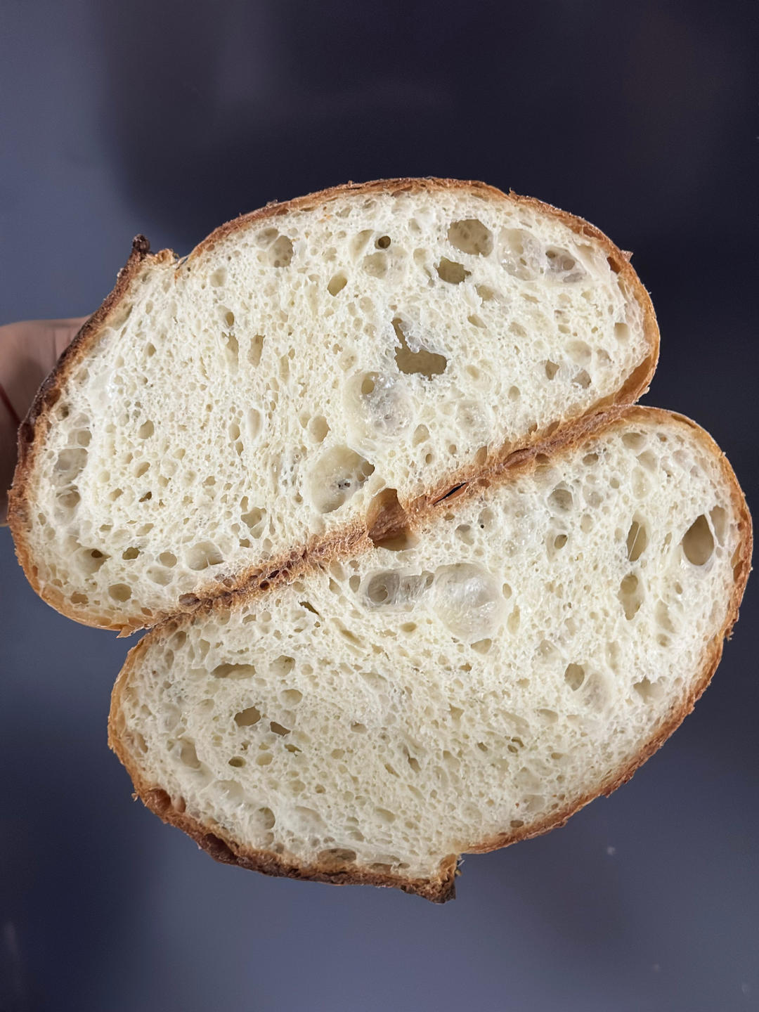 3.5小时快速直接法欧包丨免揉免机打免酵种