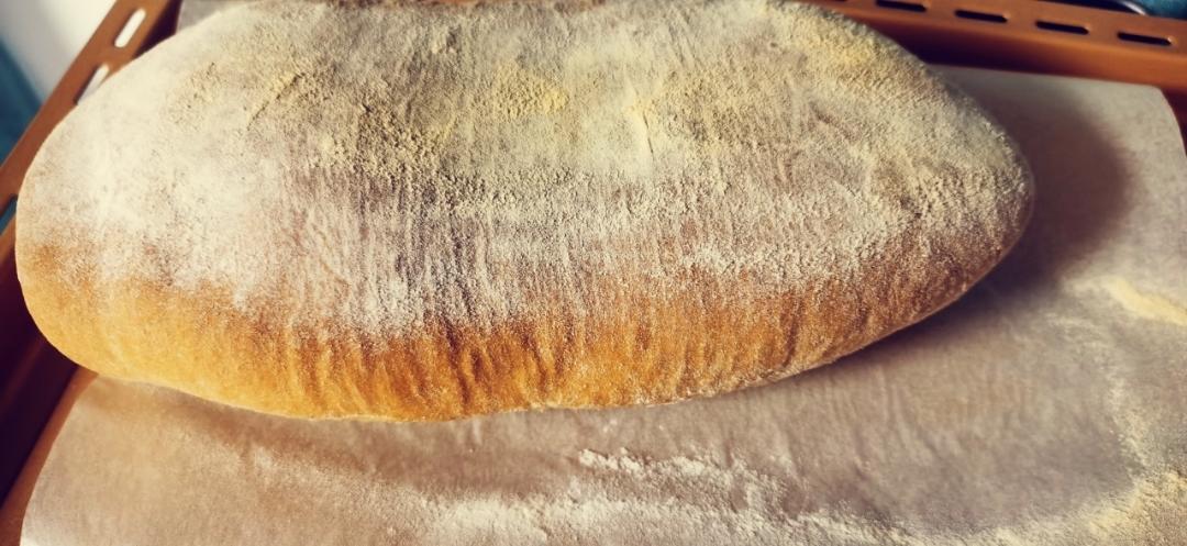 面包店里的常客——蔓越莓奶酪软欧