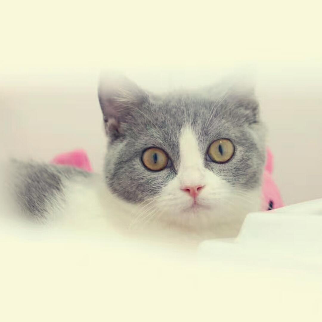 手机用户1456_3yd4