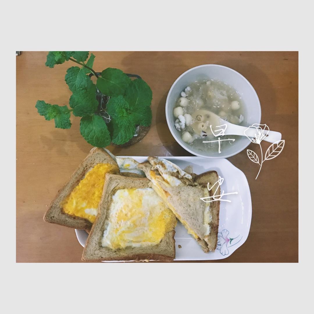 一片面包的三明治