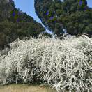 手机用户8772_t5q7